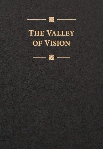 Valley of Vision (Bonded Leather)
