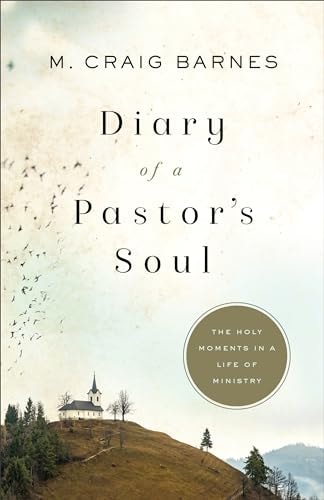 Diary of a Pastor's Soul: The Holy Moments in a Life of Ministry