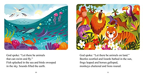 Share a Story Bible