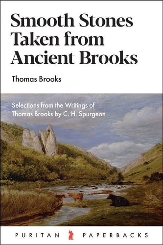 Smooth Stones taken from Ancient Brooks (Puritan Paperbacks)
