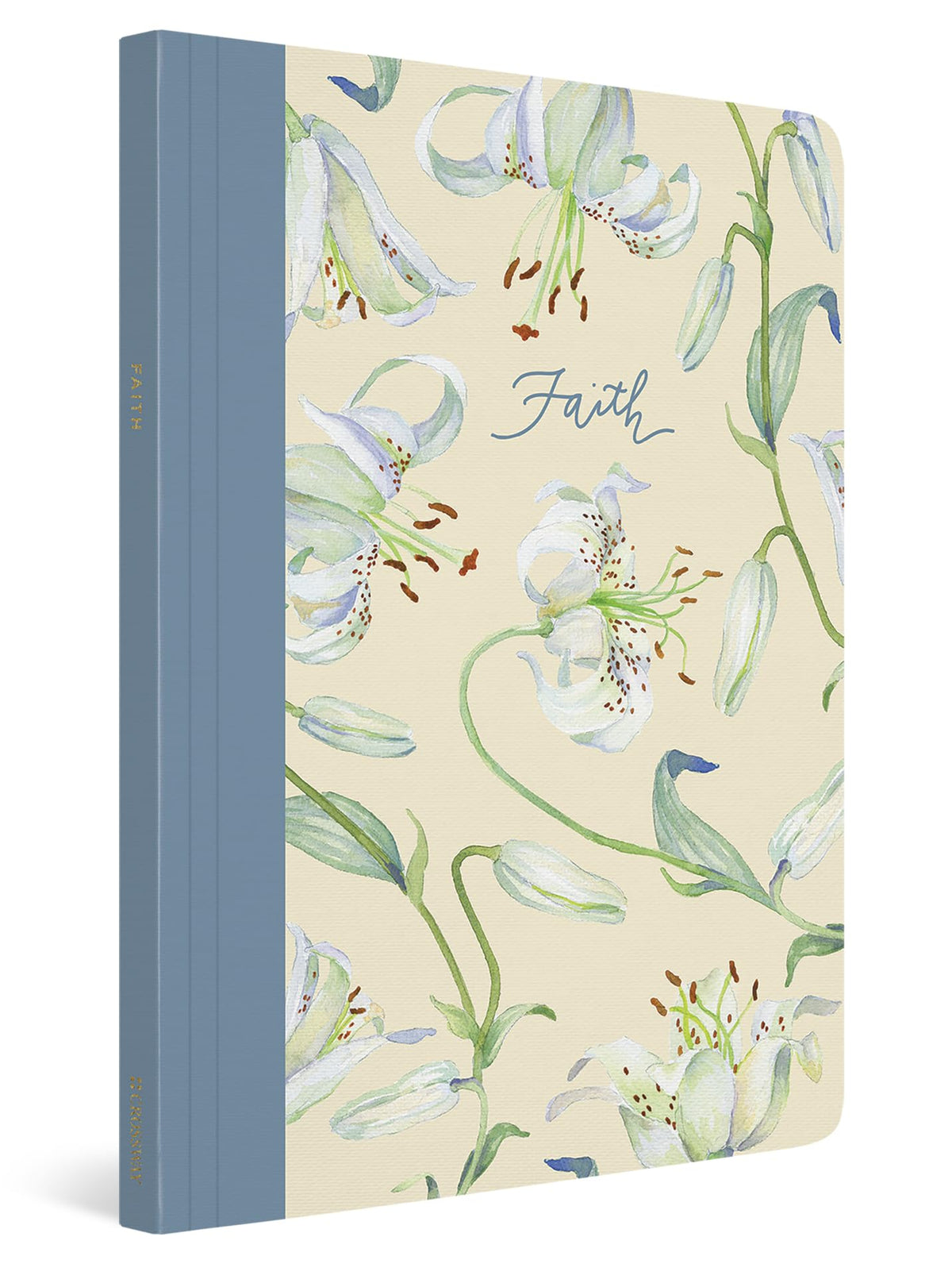 ESV Prayer Journal (30 Days on Faith)