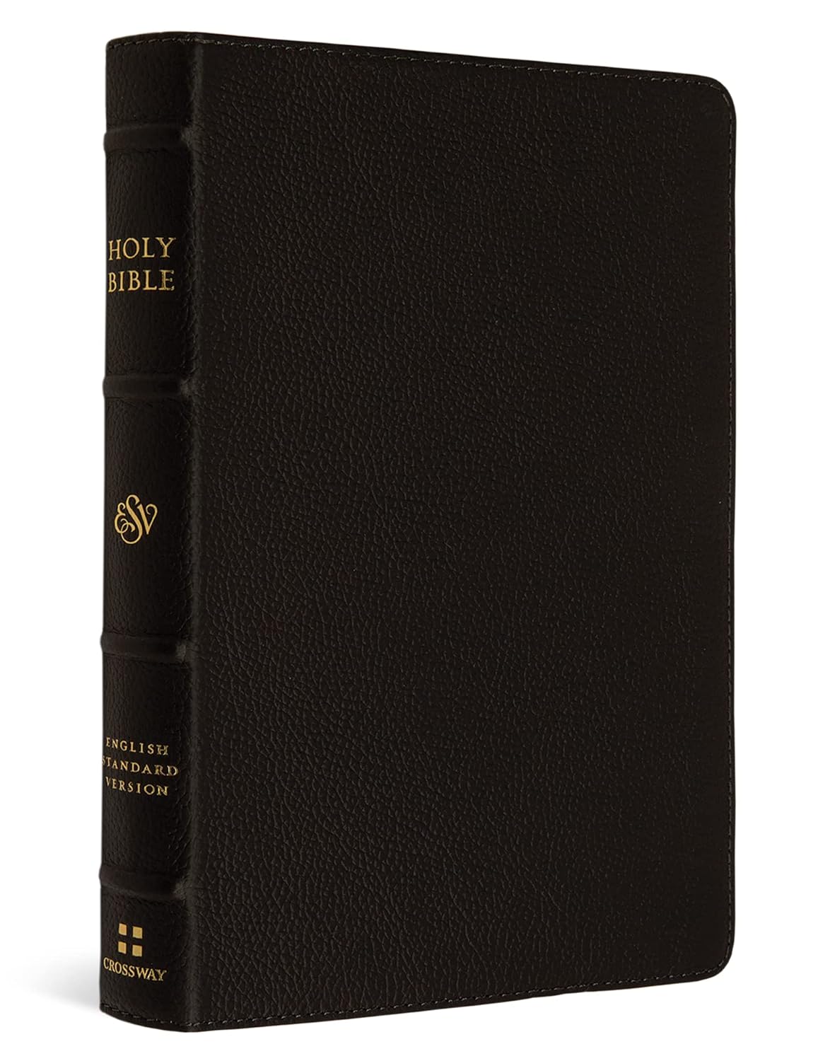 ESV Large Print Compact Bible