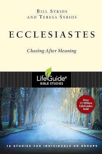 Ecclesiastes: Chasing After Meaning (LifeGuide Bible Studies)