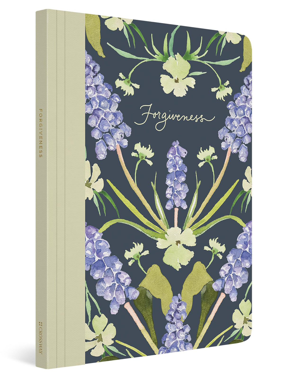 ESV Prayer Journal (30 Days on Forgiveness)