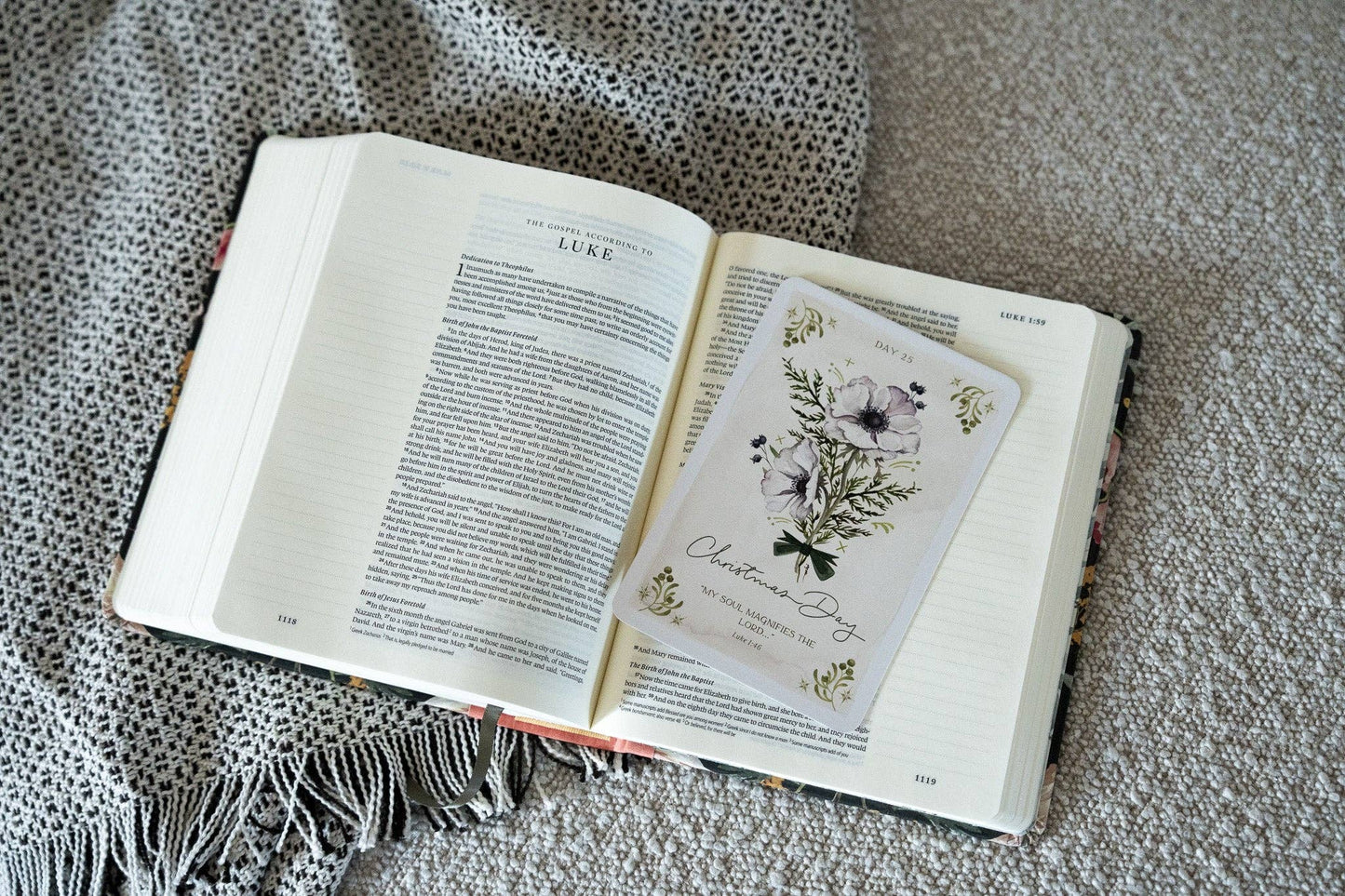GraceLaced by Ruth Chou Simons - Fulfilled In Jesus Advent Reflection Set