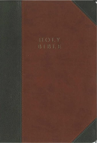 The Reformation Heritage KJV Study Bible, Leather-Like (Brown/Gray) Two-Tone